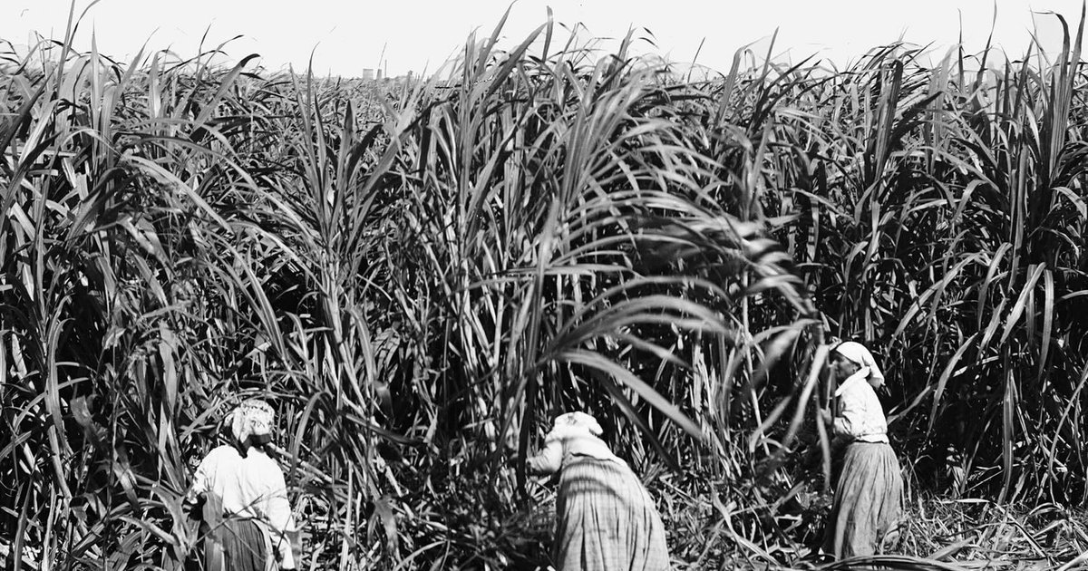 Process and Totality: A Review of David McNally's 'Slavery and Capitalism'