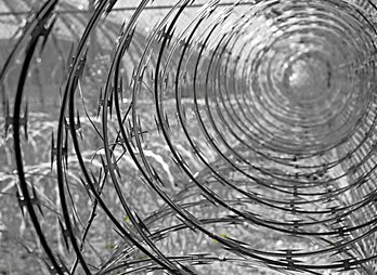 Barbed Wire – Fred Dunn (CC-BY-NC)