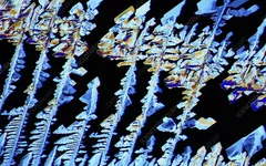 C0167210-Oestradiol,_female_sex_hormone,_PLM