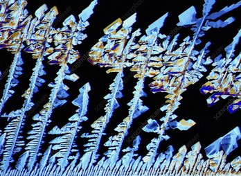 C0167210-Oestradiol,_female_sex_hormone,_PLM