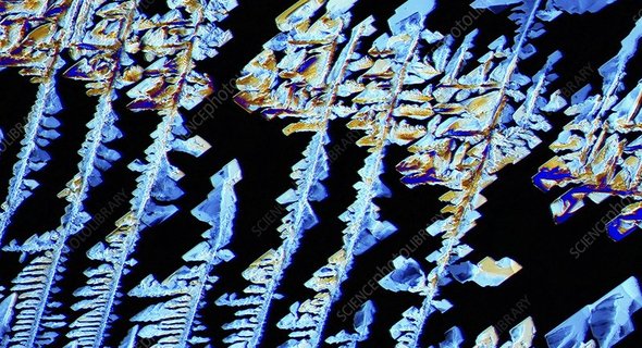 C0167210-Oestradiol,_female_sex_hormone,_PLM