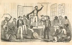 SF14.01.GP01_G03775%20cropped