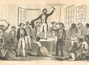 SF14.01.GP01_G03775%20cropped