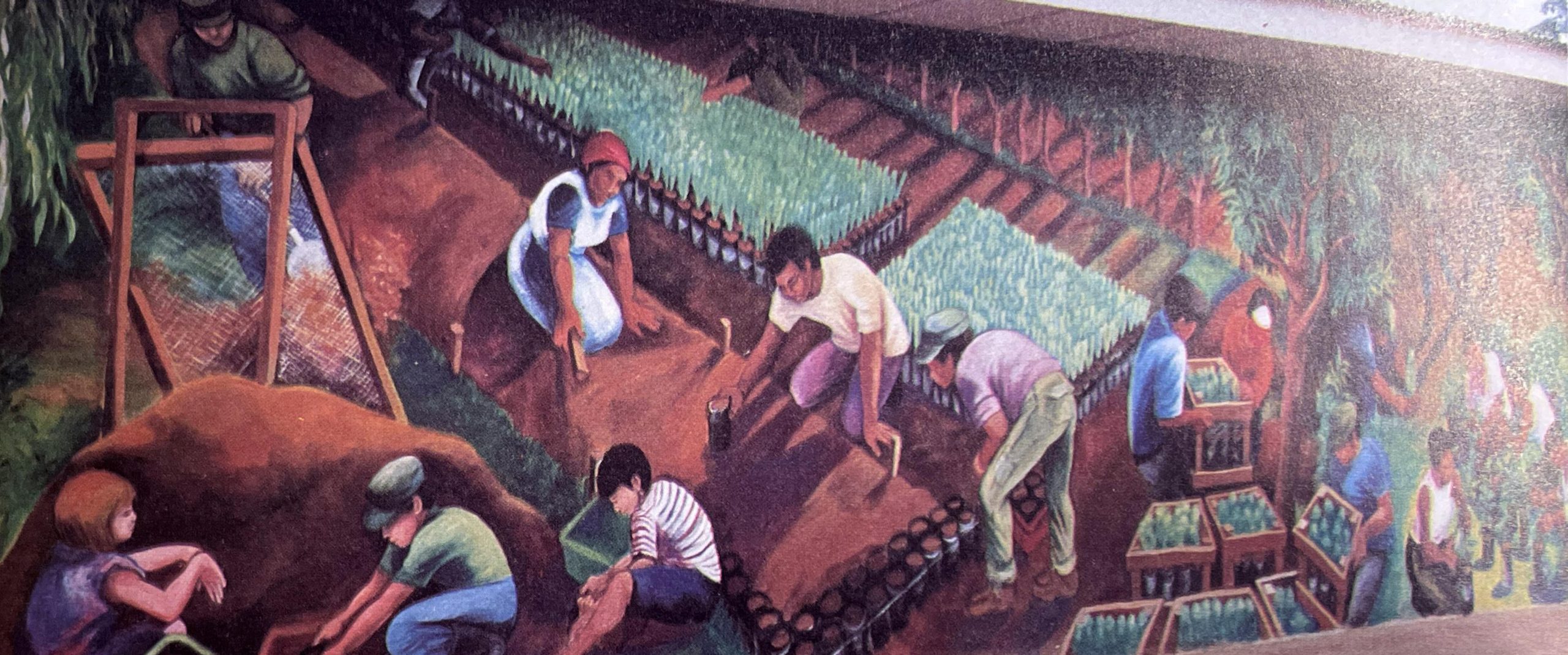 Is This Sweat, or Am I Crying?: A Worker’s History of Farm and Food in the United States